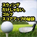 スウィングだけじゃない、ゴルフスコアアップの秘訣,激安,キャッシュバック,豪華特典付！