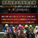 競馬投資大百科完全版