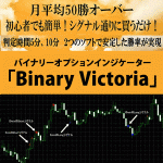 バイナリーオプションインジケーター「Binary Victoria」,激安,キャッシュバック,豪華特典付！