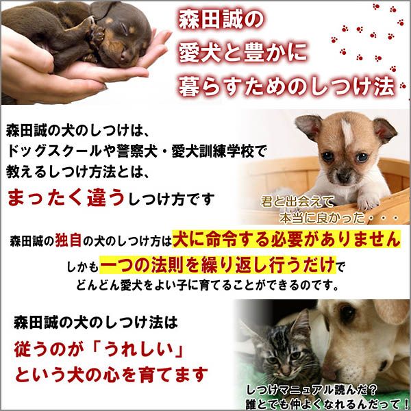 「森田誠の愛犬と豊かに暮らすためのしつけ法」　DVD　2枚セット