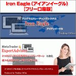 Iron Eagle（アイアンイーグル）【フリー口座版】,レビュー,徹底検証,評価,評判,情報商材,激安,キャッシュバック,豪華特典付