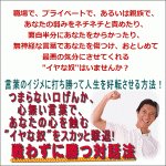 言葉のイジメに打ち勝って人生を好転させる方法！ つまらない口げんか、心無い言葉で、あなたの心を蝕む,レビュー,徹底検証,評価,評判,情報商材,激安,キャッシュバック,豪華特典付