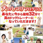 ６歳の女の子でもできた犬のしつけマニュアル,レビュー,検証,徹底評価,口コミ,情報商材,豪華特典,評価,キャッシュバック,激安