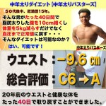 中年太りダイエット【中年太りバスターズ】,レビュー,徹底検証,評価,評判,情報商材,激安,キャッシュバック,豪華特典付