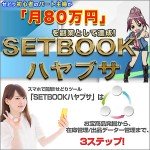 SETBOOKハヤブサ,レビュー,徹底検証,評価,評判,情報商材,激安,キャッシュバック,豪華特典付