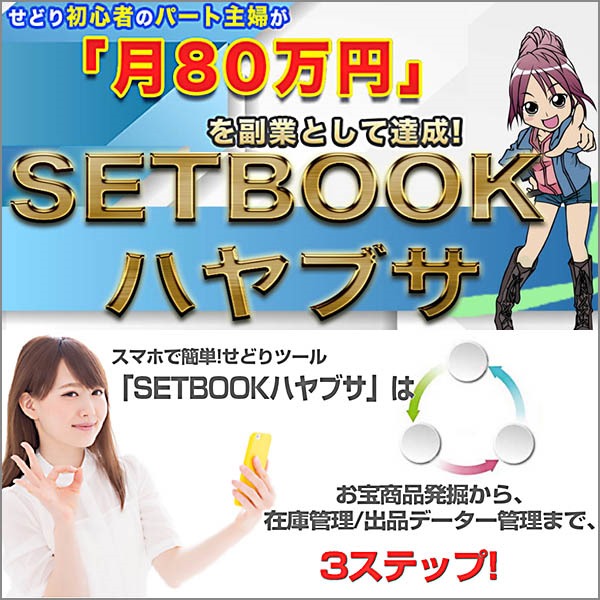 SETBOOKハヤブサ