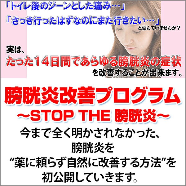 【福辻式】STOP膀胱炎DVDプログラム「特典冊子付き」,レビュー,徹底検証,評価,評判,情報商材,激安,キャッシュバック,豪華特典付