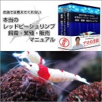 お店では教えてくれない本当のレッドビーシュリンプ飼育・繁殖・販売マニュアル,レビュー,徹底検証,評価,評判,情報商材,激安,キャッシュバック,豪華特典付