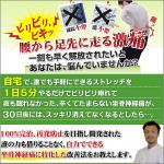 大須賀式 坐骨神経痛改善法【1日5分でできるストレッチ】,レビュー,徹底検証,評価,評判,情報商材,激安,キャッシュバック,豪華特典付