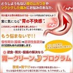 逆流性食道炎・慢性胃炎・お腹の痛みを改善する！「胃ークリーンプログラム」公式サイトレビュー,徹底検証,評価,評判,情報商材,激安,キャッシュバック,豪華特典付