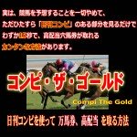 【コンピ★ザ★ゴールド～改訂版～】　万馬券が的中する穴馬をカンタンに選ぶ方法