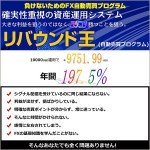 リバウンド王,レビュー,検証,徹底評価,豪華特典,キャッシュバック,激安