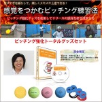 ソフトボールピッチャー　ピッチング強化トータルグッズセット,レビュー,検証,徹底評価,豪華特典,キャッシュバック,激安