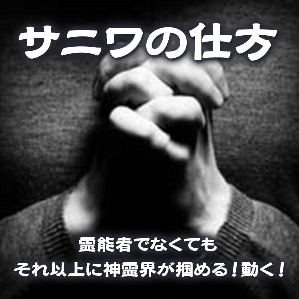 『サニワの仕方　霊能者でなくてもそれ以上に神霊界が掴める！動く！』