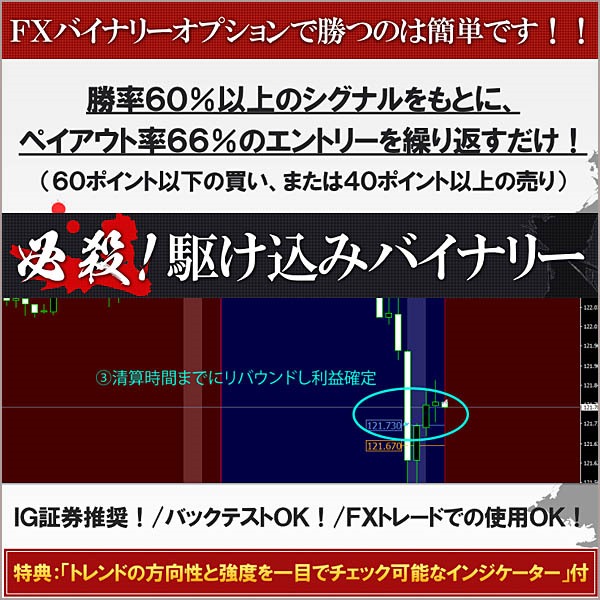 「必殺！駆け込みバイナリー」バックテスト可能！FXトレードでの使用も可能！,レビュー,検証,徹底評価,口コミ,情報商材,豪華特典,評価,キャッシュバック,激安