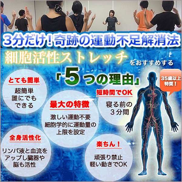 ■１日3分の２型糖尿病運動■散歩よりはるかに短時間＆楽ちんなのに効果的。散歩ができない雨の日でもOK！医師が知らない簡単な運動療法！東大名誉教授推薦の最新運動理論を応用。運動効果を感じなければ全額返金！,レビュー,検証,徹底評価,口コミ,情報商材,豪華特典,評価,キャッシュバック,激安