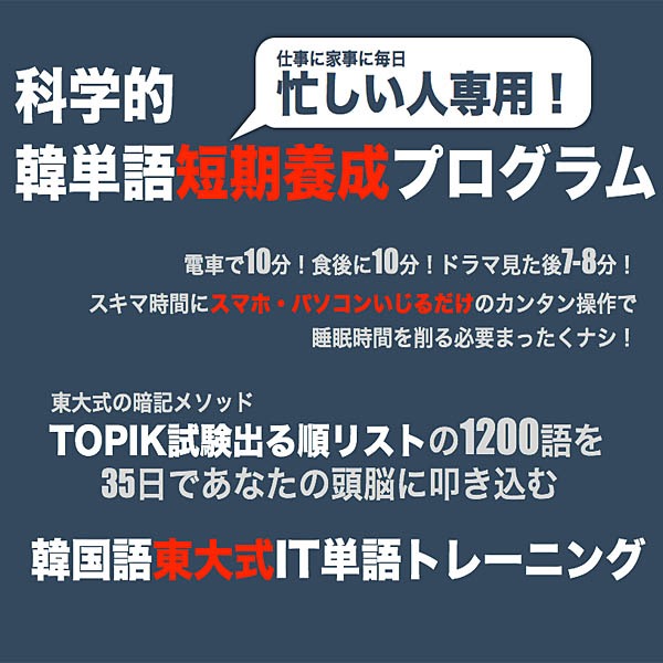 仕事に家事に忙しい人専用！科学的韓単語短期養成プログラム【韓国語東大式IT単語トレーニング初級編】,レビュー,検証,徹底評価,口コミ,情報商材,豪華特典,評価,キャッシュバック,激安