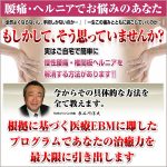 TMSジャパン 長谷川式腰痛治療プログラム,レビュー,検証,徹底評価,口コミ,情報商材,豪華特典,評価,キャッシュバック,激安