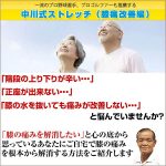 中川式ひざ痛治療法,レビュー,検証,徹底評価,口コミ,情報商材,豪華特典,評価,キャッシュバック,激安