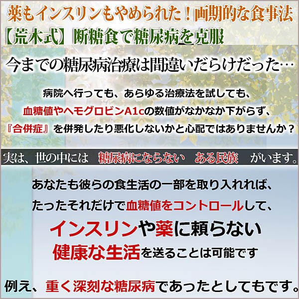 【荒木式】糖尿病改善プログラム～インスリンも薬もやめられた画期的な食事法～,レビュー,検証,徹底評価,口コミ,情報商材,豪華特典,評価,キャッシュバック,激安