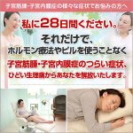 家庭でできる子宮筋腫・子宮内膜症、月経前症候群・月経困難症の養生法～ひどい生理痛、痛み、吐き気を28日で緩和する改善メソッド～,レビュー,検証,徹底評価,口コミ,情報商材,豪華特典,評価,キャッシュバック,激安