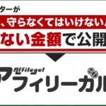 「アフィリーガル」-アフィリエイトに取り組む上で知らなかったでは済まされないルール-,レビュー,検証,徹底評価,口コミ,情報商材,豪華特典,評価,キャッシュバック,激安