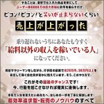 メルチャイナ,レビュー,検証,徹底評価,口コミ,情報商材,豪華特典,評価,キャッシュバック,激安