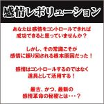 感情レボリューション,レビュー,検証,徹底評価,口コミ,情報商材,豪華特典,評価,キャッシュバック,激安