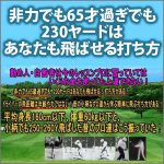 今迄のレッスンすべて間違っています。非力でも65才過ぎでも、230ヤードはあなたも飛ばせる打ち方。勤め人や小柄な人はレッスンプロに習っていてはいくら金を使っても上達できない。非力でも65才過ぎでも、230ヤードの打ち方！レッスンプロに習っていては大金を使っても上達は無理なのです。,レビュー,検証,徹底評価,口コミ,情報商材,豪華特典,評価,キャッシュバック,激安