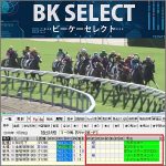 ＢＫセレクト,レビュー,検証,徹底評価,口コミ,情報商材,豪華特典,評価,キャッシュバック,激安