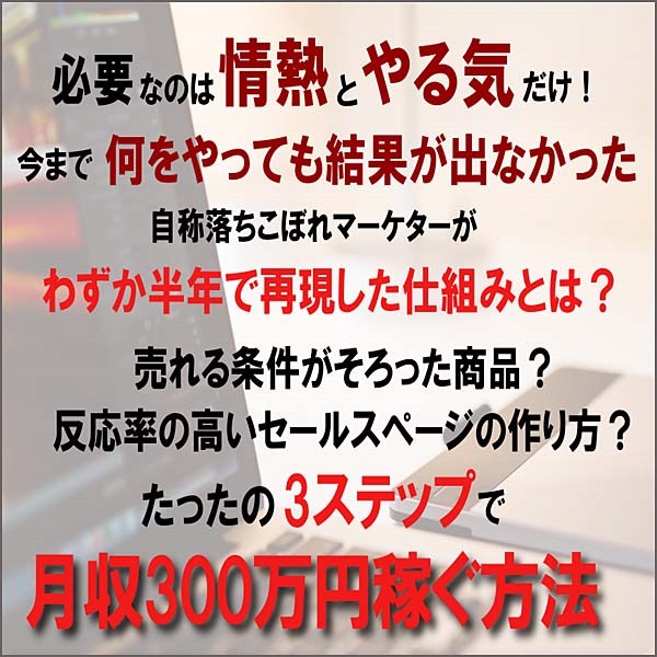 情報販売ビジネス構築メソッド,レビュー,検証,徹底評価,口コミ,情報商材,豪華特典,評価,キャッシュバック,激安