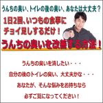 うんちの臭いを改善する方法！1日2回、いつもの食事にチョイ足しするだけ！,キャッシュバック,激安,レビュー,検証,徹底評価,口コミ,情報商材,豪華特典,評価,