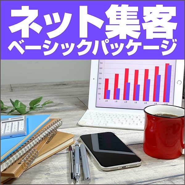 ネット集客ベーシックパッケージ 1:SEO特化＆レスポンシブ対応サイトにリニューアル。 2:自動集客ボット設置代行 3:サーバードメイン設置代行 4;6ヶ月間のメール＆ズームコンサル付き,キャッシュバック,激安,レビュー,検証,徹底評価,口コミ,情報商材,豪華特典,評価,