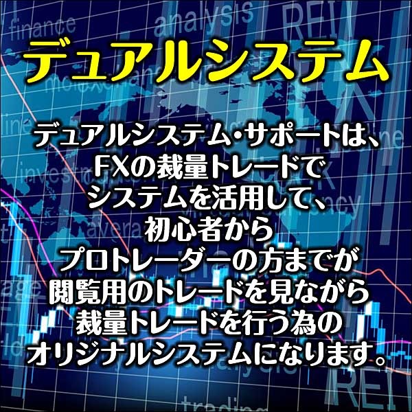 デュアルシステム,レビュー,検証,徹底評価,口コミ,情報商材,豪華特典,評価,キャッシュバック,激安