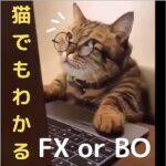 猫でもわかるFXorBOのキャッシュバック、激安購入はキャッシュバックの殿堂、さらに豪華特典付き！ユーザーの検証レビュー記事も掲載中、参考になさってください。,レビュー,検証,徹底評価,口コミ,情報商材,豪華特典,評価,キャッシュバック,激安