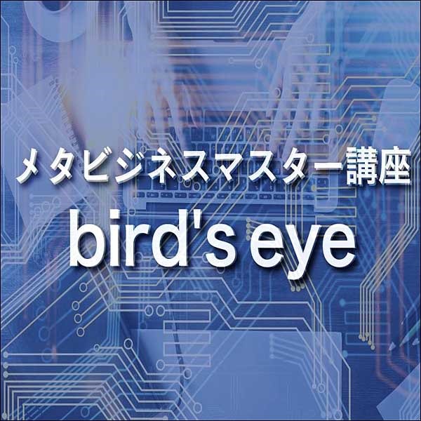 メタビジネスマスター講座『bird's eye』(IT_ev)