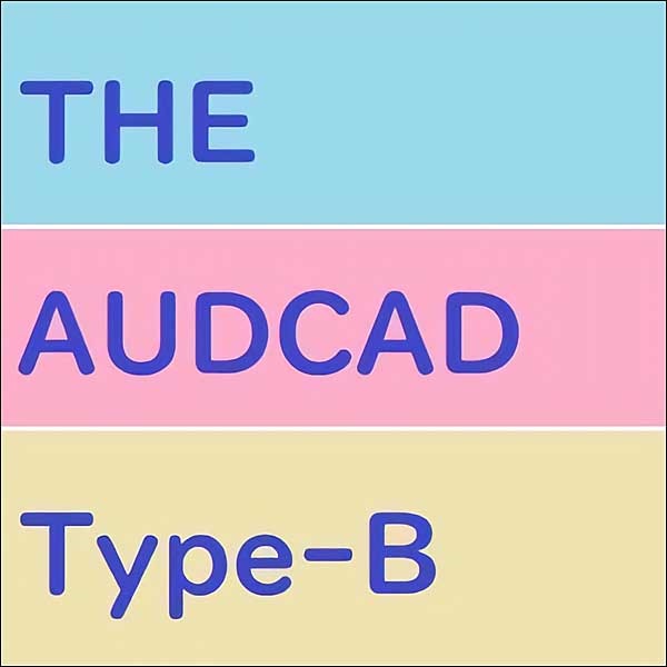 「THE　AUDCAD」タイプB