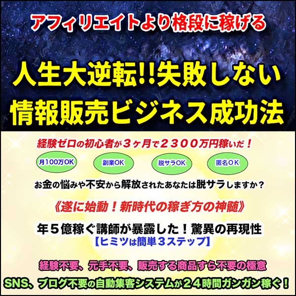 失敗しない情報販売ビジネス成功法 失敗しない情報販売ビジネス成功法