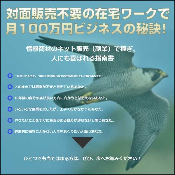 対面販売不要の在宅ワークで、月１００万円ビジネスの秘訣！ （ 目からウロコの松岡流稼ぎ方を伝授）