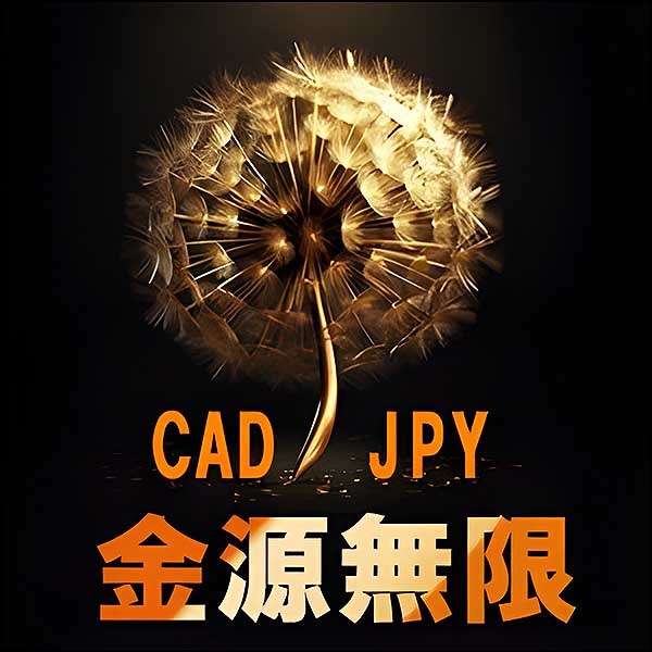 金源無限-カナダドル円(CJMB)