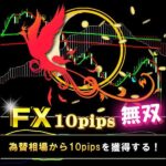 FX10pips無双 シンプルに為替相場から10pipsを幾度も獲得する手法,レビュー,検証,徹底評価,口コミ,情報商材,豪華特典,評価,キャッシュバック,激安