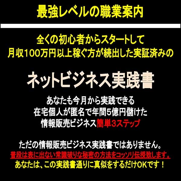 ネットビジネス実践書