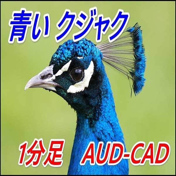 Blue Peacock (青いクジャク) EA