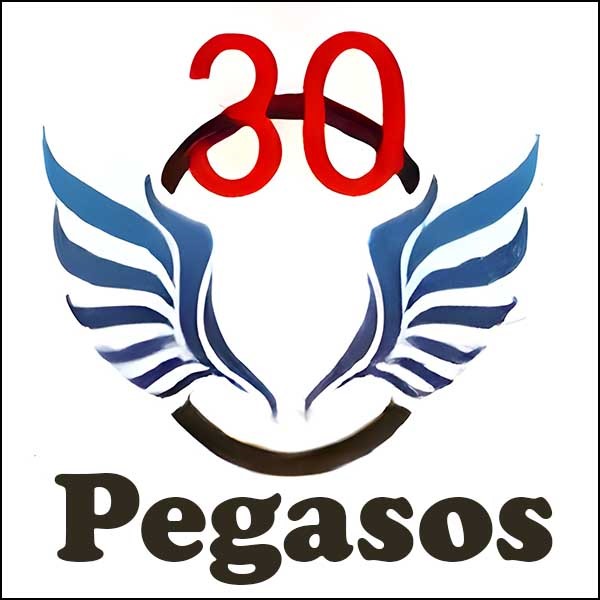 Pegasos30,レビュー,検証,徹底評価,口コミ,情報商材,豪華特典,評価,キャッシュバック,激安