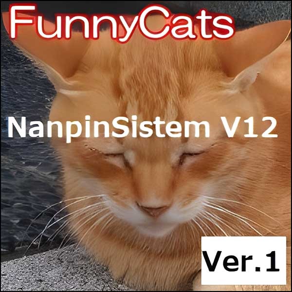 FC_Nanpin_System_V12_Ver.1