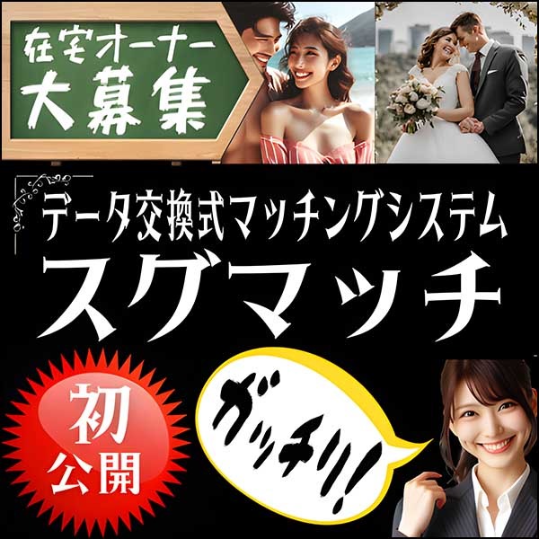 データ交換式マッチングシステム「スグマッチ」
