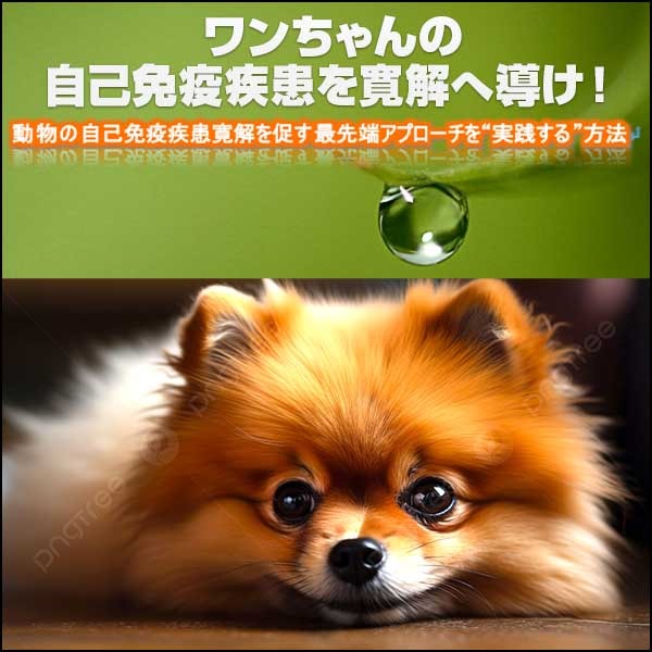 ワンちゃんの自己免疫疾患を寛解へ導け