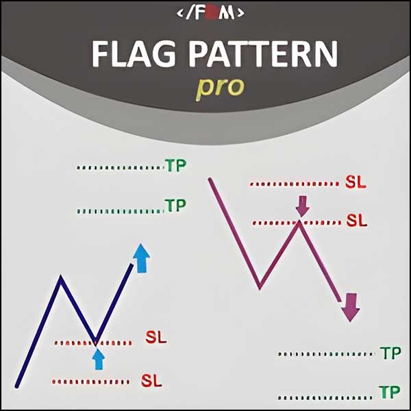 Flag Pattern Pro