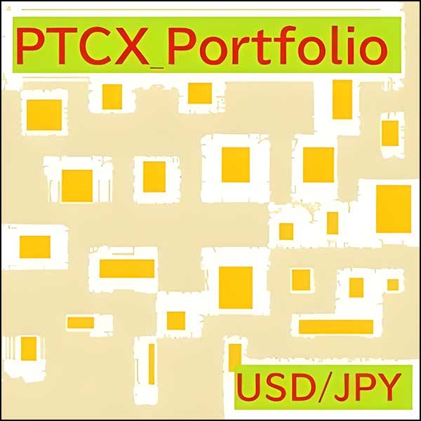 PTCX_Portfolio