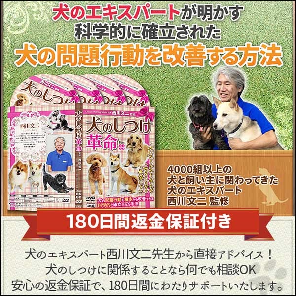 犬のしつけ革命～科学的に確立された犬の問題行動を改善する方法～